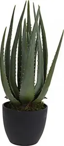 Artificial Aloe Plant in Pot 45 cm by Dekoracja domu — indoor decorative succulent