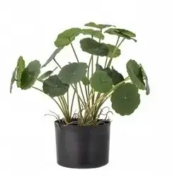 Artificial Flower Arrangement Bloomingville Copper Plante Zielony – decorative faux green plant