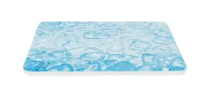 Cooling plate Trixie TRIXIE Cooling Plate for hamsters and mice, blue, 200 x 150 mm