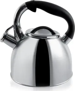 Stainless Steel Whistling Kettle ORION Ori_111992, 2.7 L, Compatible with Induction