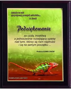 Plastic Diploma Frame with Colour Touch Laminate, Victoria Sport HG2552/G