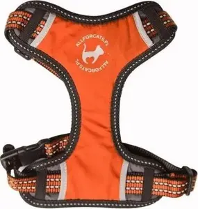 Cat harness All For Dogs ALL FOR CATS SZELKI SPORTOWE XS orange — size XS, sports-style cat harness