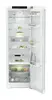 Liebherr RBe 5220 Plus freestanding fridge Photo 3