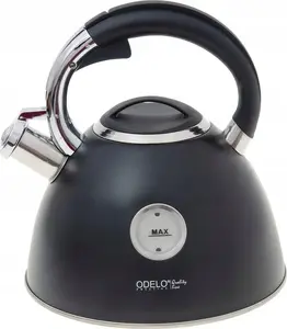 Kettle Ofenbach ODEL-GA-005-50 non-electric 3 L black