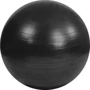 Gym Ball Sportech Anti-Burst 65 cm – exercise stability ball, black