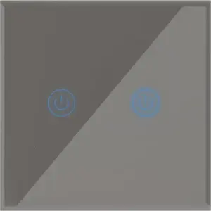 Wall light switch ART dual Wi‑Fi SH‑SWWIF‑G2, gray, double gang touch/control