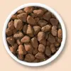 Catit 44506 сухой корм — Взрослым Птица 2 кг Photo 2