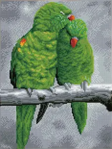 Diamond Dotz Diamond Painting Kit Sweet Perch — parrot design, 410×310 mm canvas