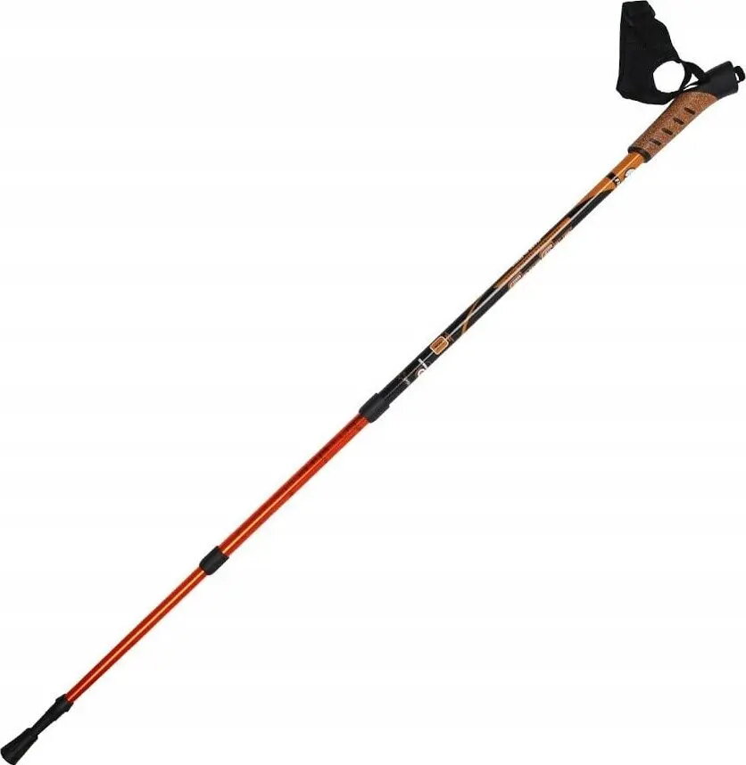 Nordic Walking Poles