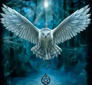 Diamond Painting Kit Norimpex Mozaika 5D — Owl, 40 x 30 cm