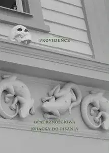 Писательская тетрадь Austeria Providence — учебная книга по письму (266443)