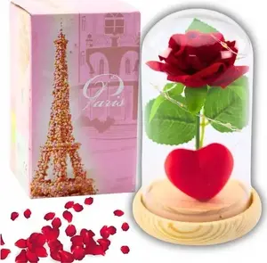 Preserved Rose in Glass Dome with LED Lighting, Lean 14×8 cm, Red with Heart