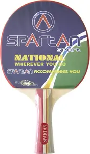 Table Tennis Paddle SPARTAN 313 — Spartan Turbo, recreational ping-pong racket