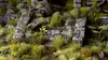 Gamers Grass GG12-JU растения для моделей Photo 4