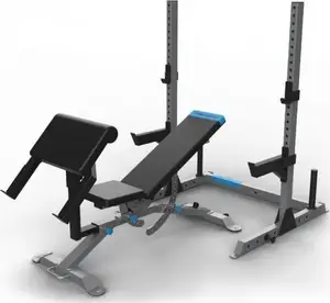 Olympic Weight Bench Pro Form Carbon Strength by Pro Form (model PFBE29920)