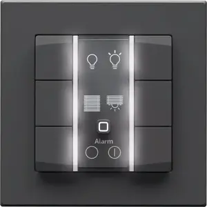 Light switch eQ-3 Homematic IP 162028A0 — black plastic, button control, 11 g