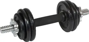 Гантель EB FIT чугунная 7 кг — одиночная гантель 7 кг