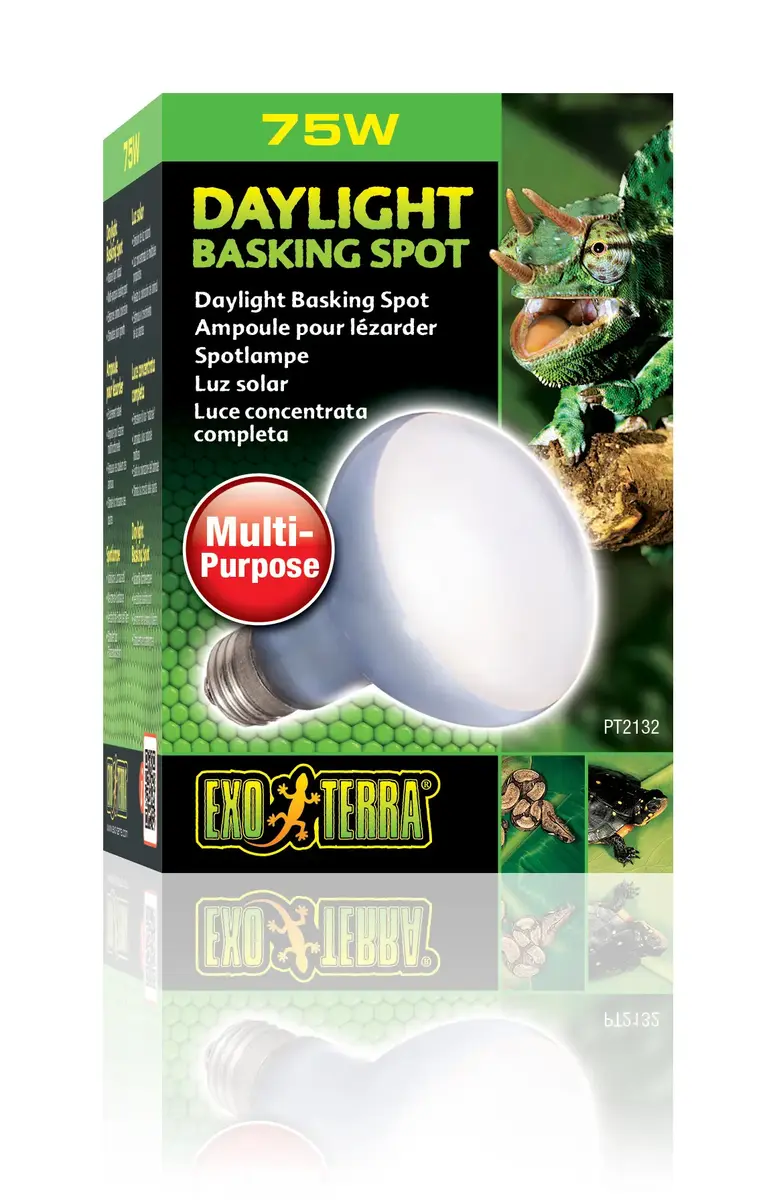 Reptile heat lamp Hagen Exo Terra PT2132 75 W Photo 2