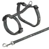 Leash Trixie TRIXIE 41893 for cat Photo 2