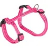 Leash Trixie TRIXIE 41893 for cat Photo 4