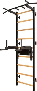 Гимнастическая лестница с турником и брусьями BenchK 830580 (модель 260797-uniw)
