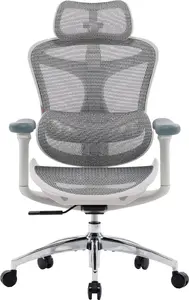 Biroja krēsls Sihoo DORO C300L Mesh White — tīkliņa atzveltne, regulējamas funkcijas, jostasvietas atbalsts