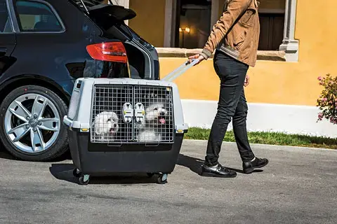 Auto pārnēsājamais ZOLUX Kerbl 81340 Photo 6