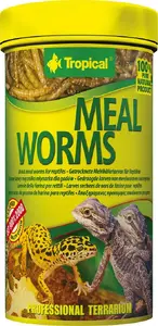 Tropical Meal Worms 250 мл, банка — Tropical 005122 (сухой корм из личинок)