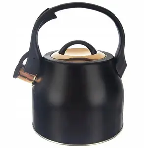 Cookini gas and induction kettle with whistle, lid, 3 L, black