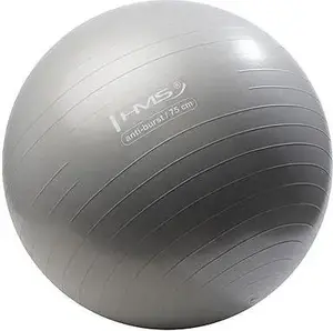 Exercise Ball HMS YB02 75 cm, grey – stability and core training