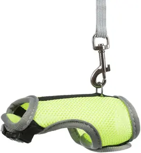 Dog and cat lead Trixie TRIXIE 61511 multicolour – pet leash for small animals