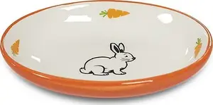 Keramikas ovāla trauciņš trusīšiem Yarro International, 13 × 9 × 2,5 cm, oranža