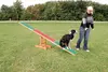 Trixie Fun Agility Seesaw — dog agility teeter-totter Photo 2