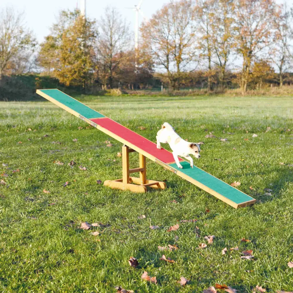 Trixie Fun Agility Seesaw — dog agility teeter-totter Photo 3
