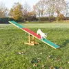 Trixie Fun Agility Seesaw — dog agility teeter-totter Photo 3