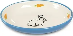 Keramikas ovāla barošanas bļoda trusim Yarro International — 13 x 9 x 2,5 cm, zila