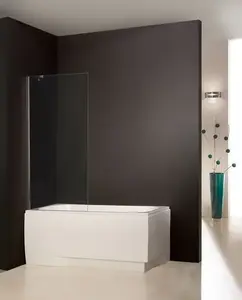Shower screen Sanplast Free Line single-panel clear glass with silver profile
