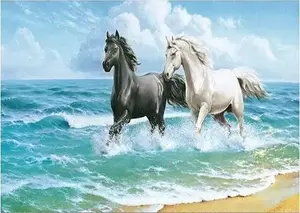 Diamond Painting Kit Norimpex Mozaika 5D — Horses, 40x30 cm