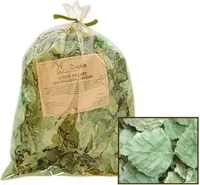 Dried Birch Leaves Zuzala LIŚĆ BRZOZY SUSZONY — Zuzala, 20694