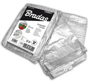 Тент BRADAS PL1206/8 — серебристый, 6000 мм × 8000 мм