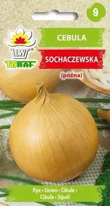 Sīpolu sēklas Toraf Sochaczewska — dārzeņu sēklu iepakojums 5 g