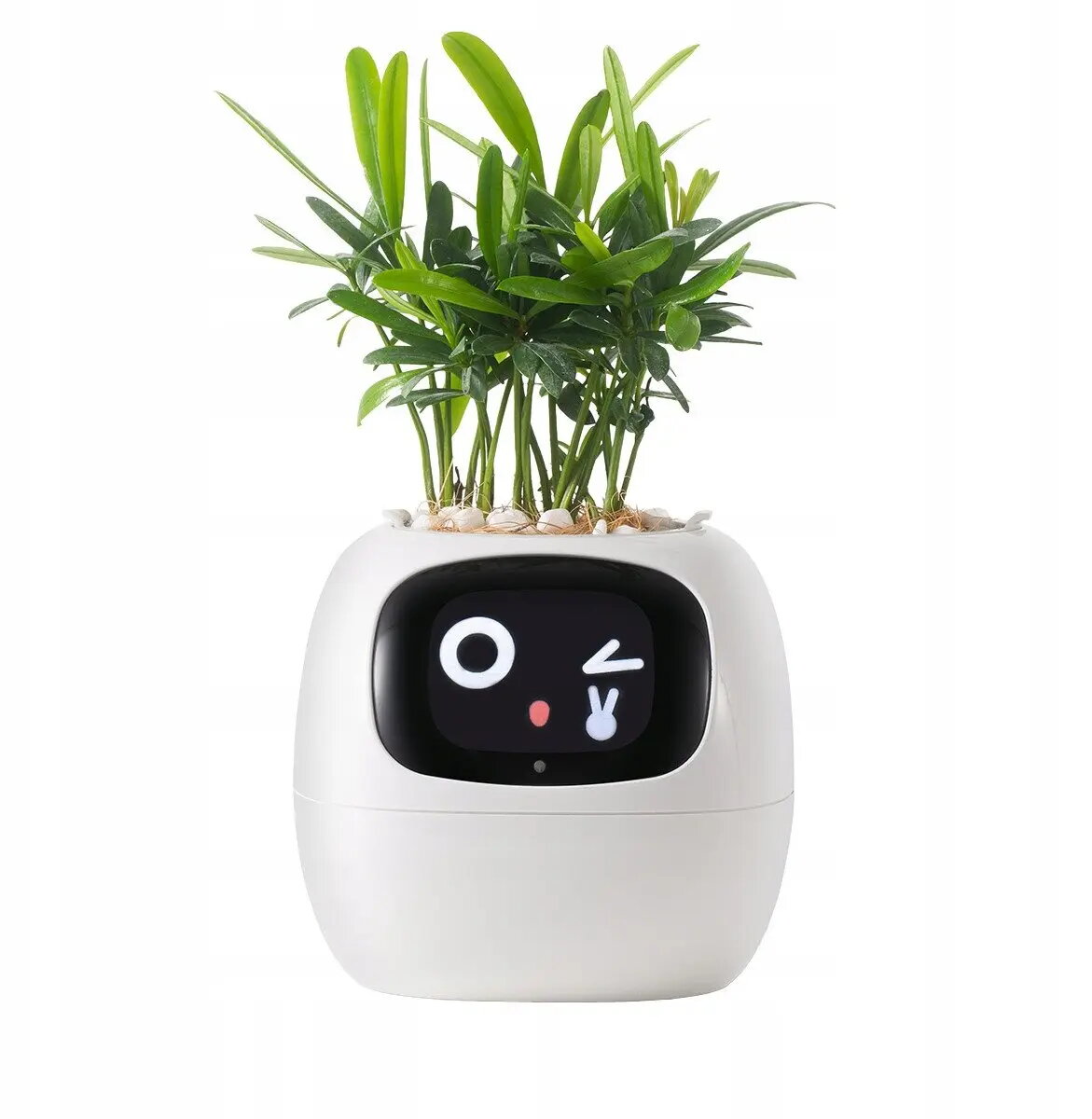 Flower Pots