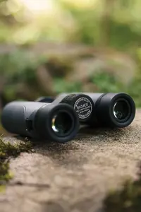 Binoculars focus Observer 8x34 ED by focus — 8× magnification, 34 mm objective