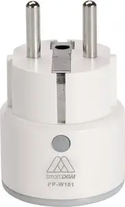 Wireless IP Camera DGM DGM PP-W101 — Wi‑Fi surveillance camera (model PP‑W101)