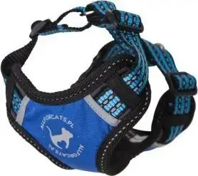 Harness All For Dogs All For Cats Szelki Sportowe XS – small-sized cat harness, adjustable straps