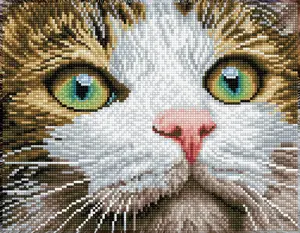 Diamond Dotz Diamond Painting Kit Green Eyed Beauty — canvas 355.6×276.8 mm, multicolour, boxed