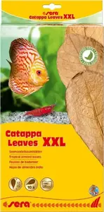 sera Catappa lapas XXL 32 cm, 10 gab. — akvārija mandeļu lapas ūdens kondicionēšanai