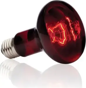 Инфракрасная точечная лампа Hagen Exo Terra Infrared Spot 50W для террариумов
