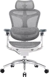 Biroja krēsls Sihoo DORO C300 Pro Mesh White — ergonomiska tīkliņa atzveltne, regulējamas funkcijas