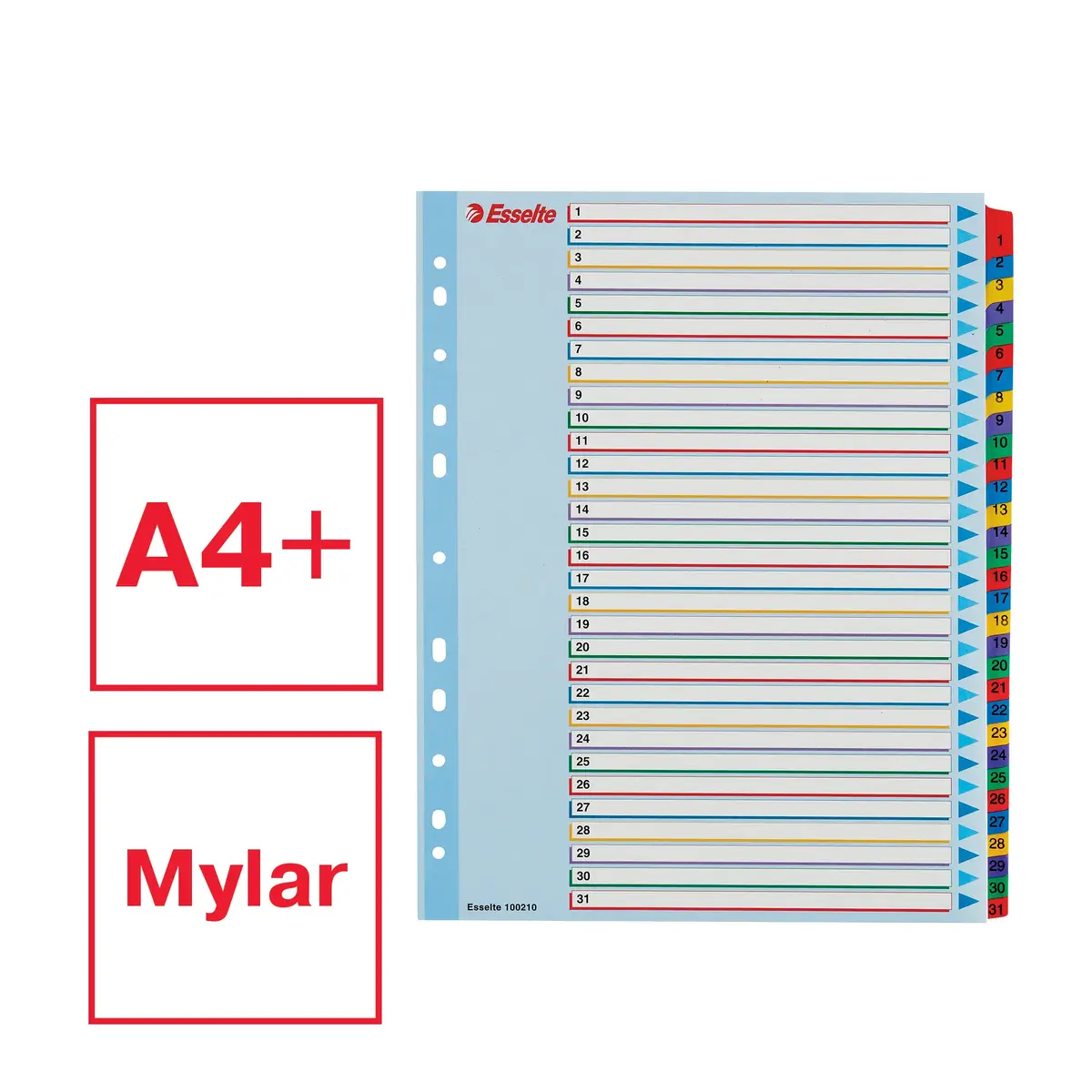 ESSELTE Index 1–31 Re-writable Mylar A4+ Photo 2